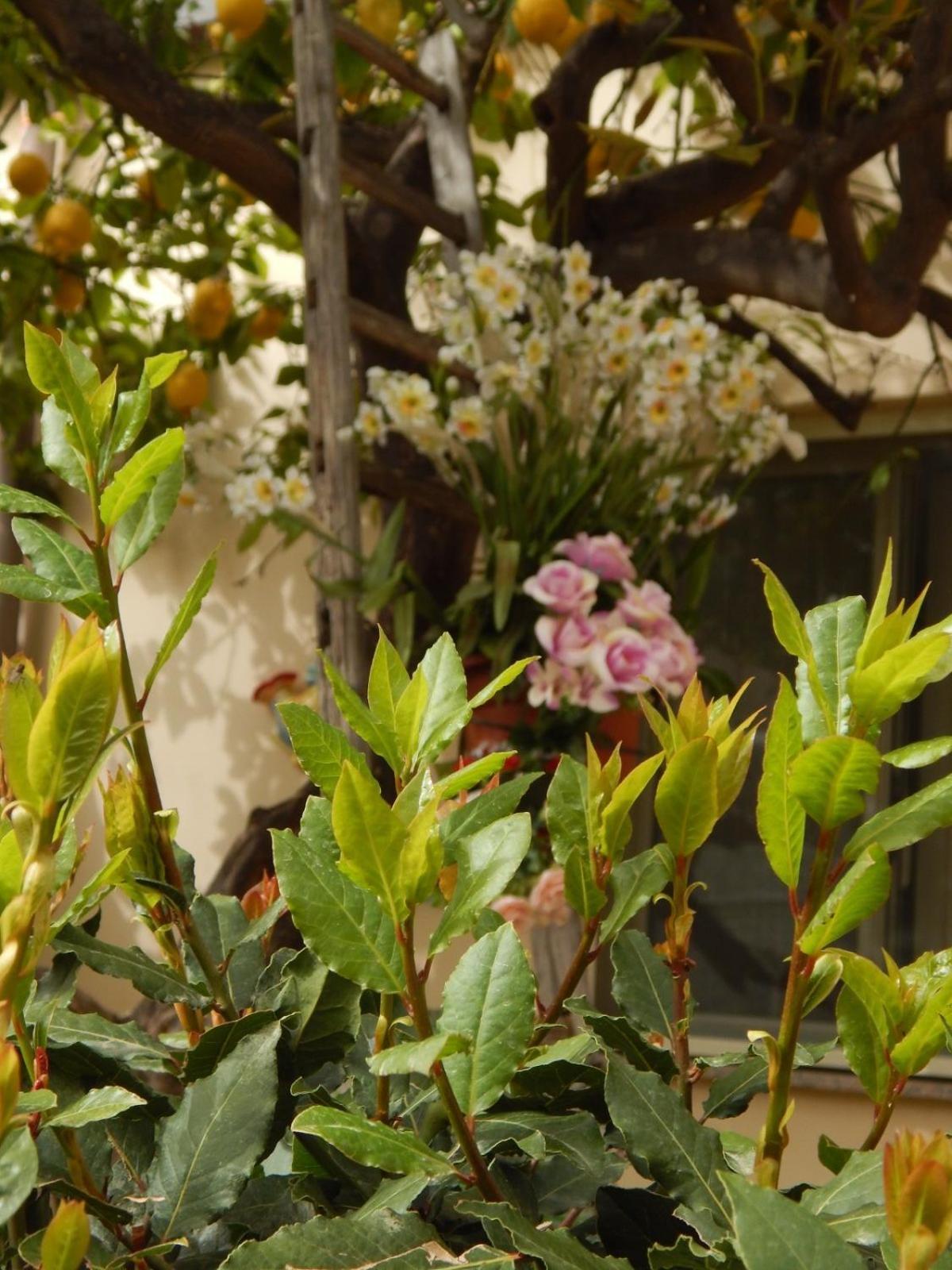 Apartamento Nel Giardino Di Nunziatina Syracuse Exterior foto