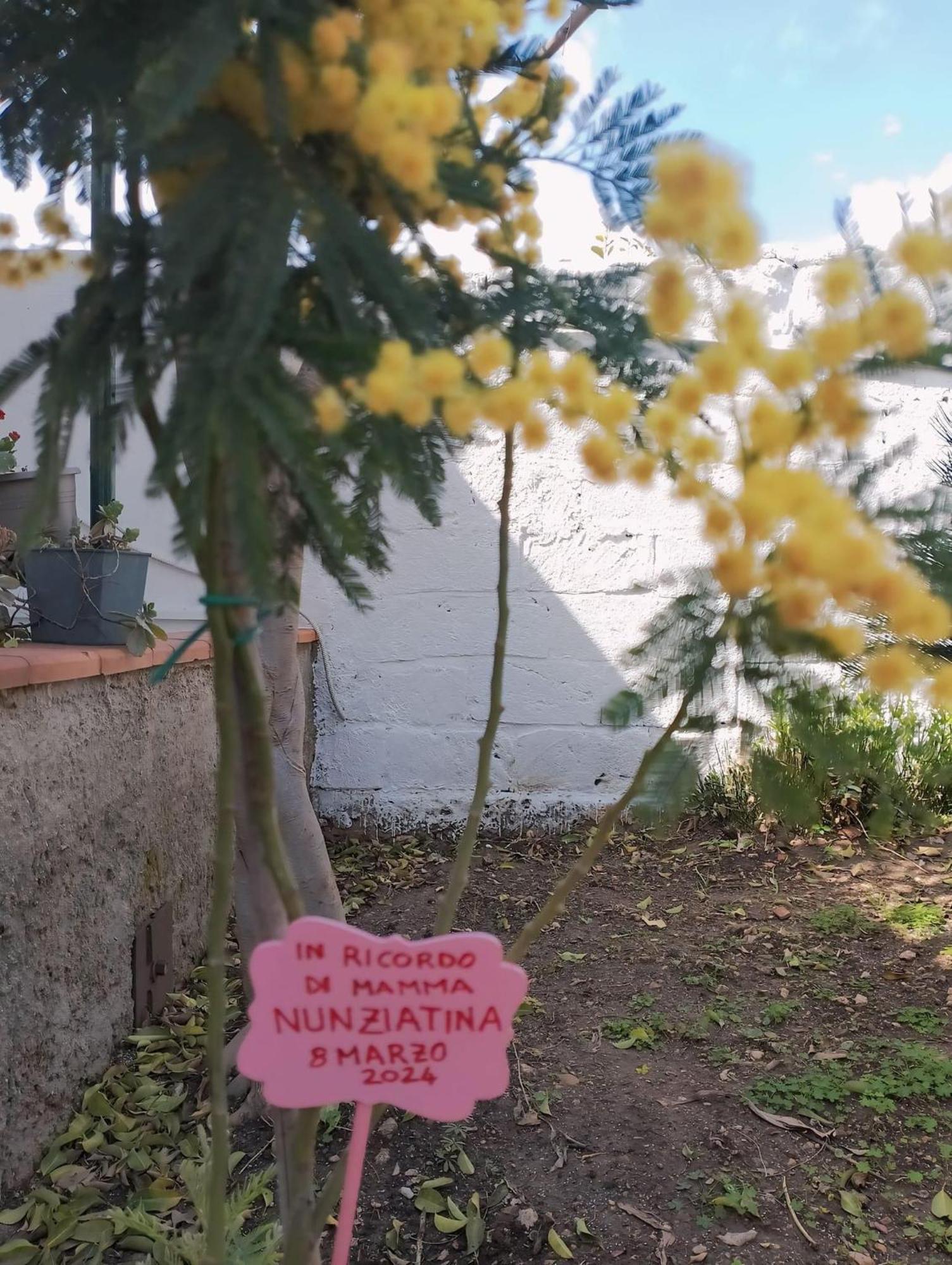 Apartamento Nel Giardino Di Nunziatina Syracuse Exterior foto